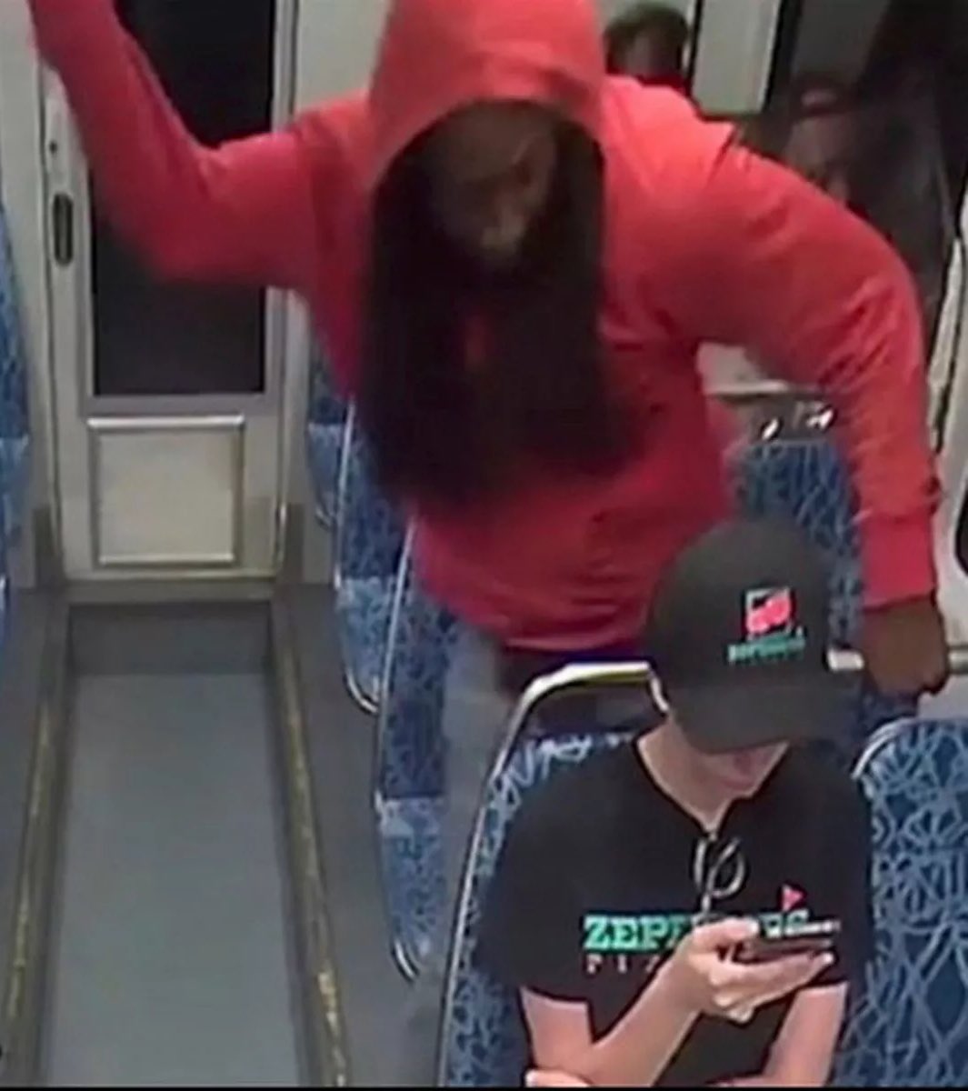 Bubblebathgirl's tweet image. CNN’s Van Jones lies about the m*rder of Iryna Zarutska and says the word “white” was never mentioned by anyone except Charlie Kirk.

The k*ller said twice, “I got that white girl.”

Jones must apologize. This was a racially charged crime.

Black-on-white crime is an epidemic.