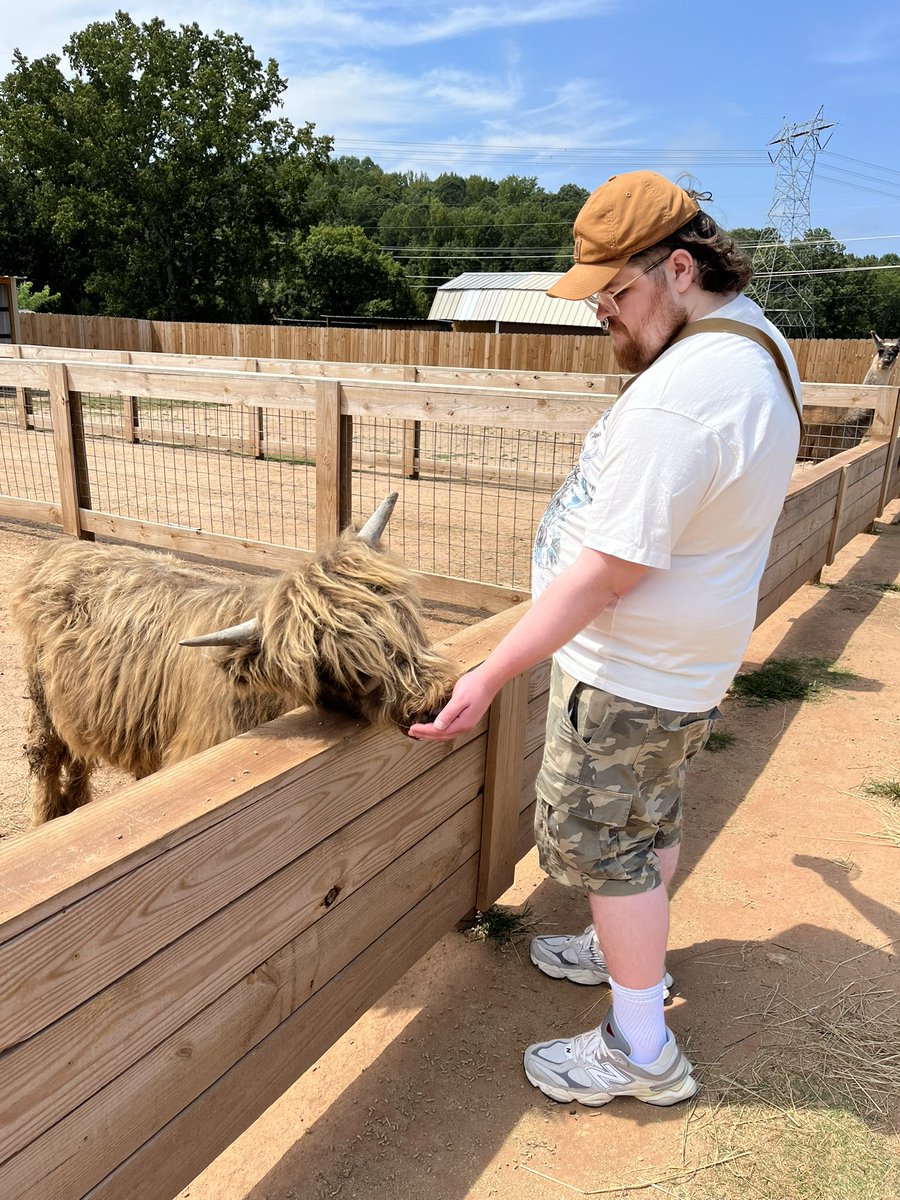 shoob🔗 tweet media