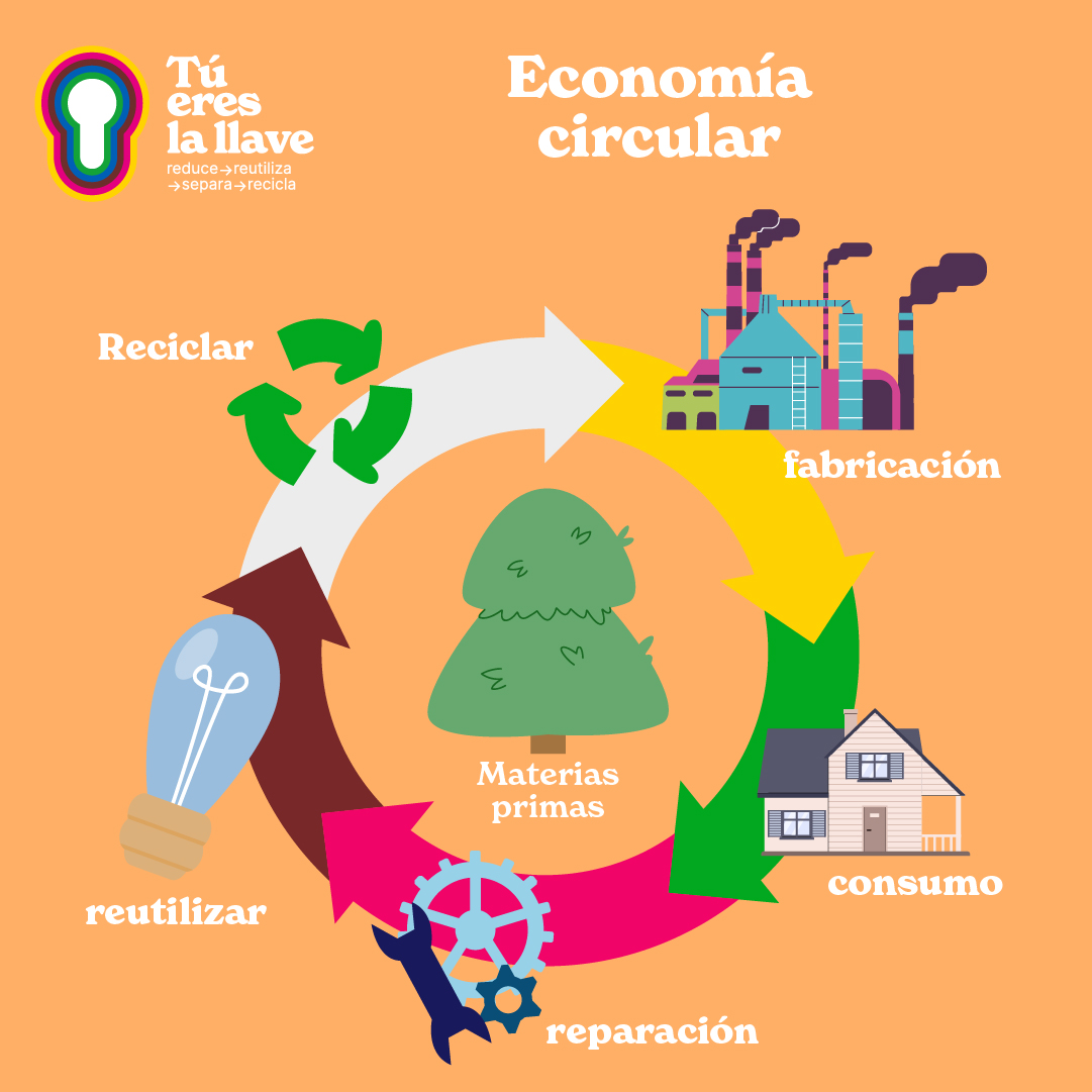 ¿Sabes qué significa vivir en una economía circular?

Pasar del modelo lineal de "usar y tirar" a uno donde cada recurso cuenta requiere un cambio de mentalidad… y de hábitos. 🌱