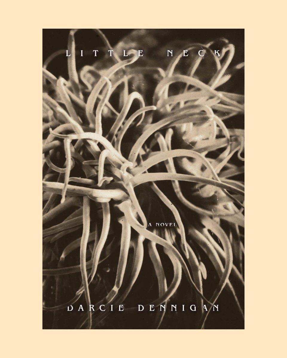 Fonograf Editions tweet media