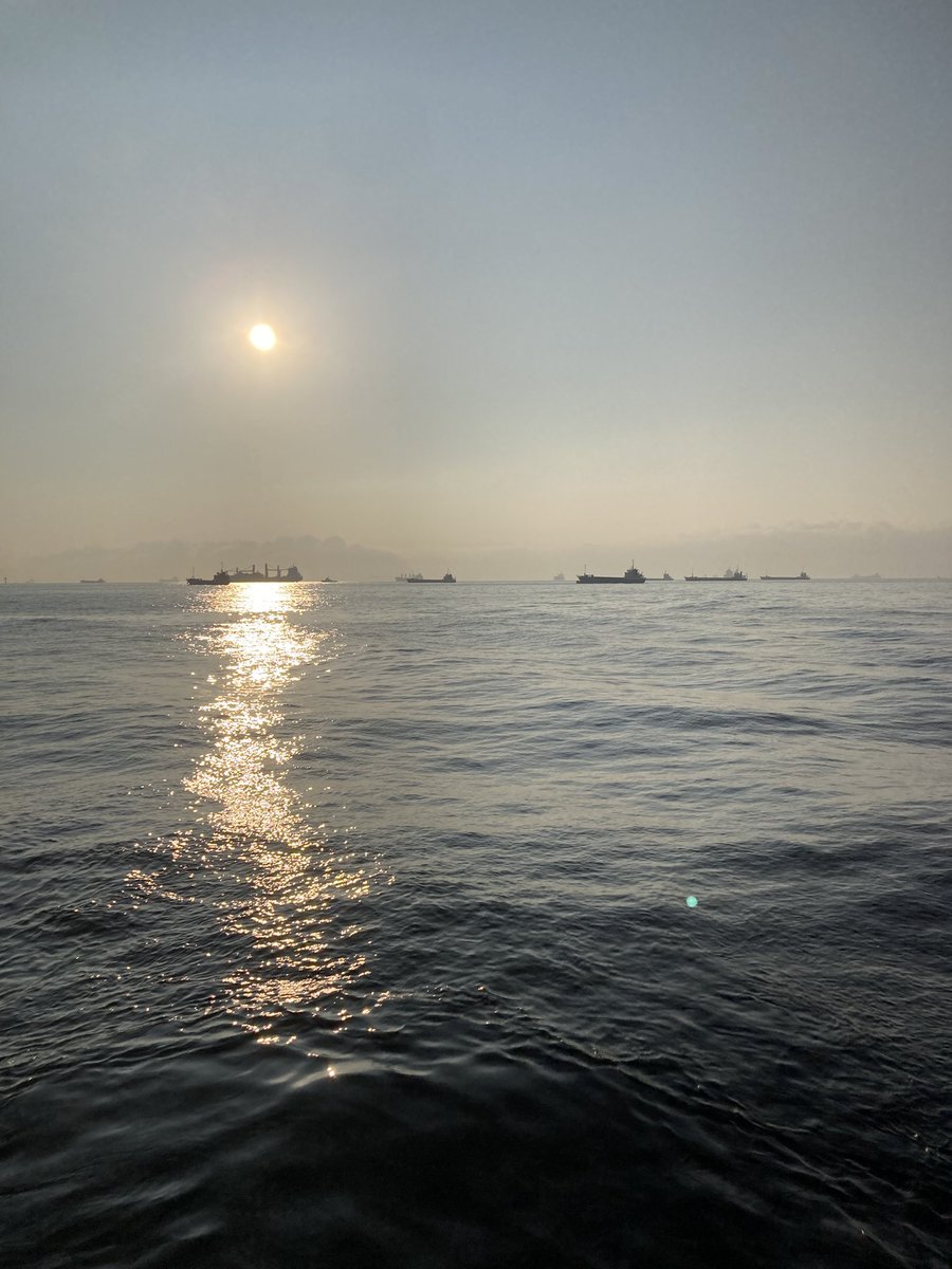 月末期限の回数券が余って勿体無いから、釣りに🎣