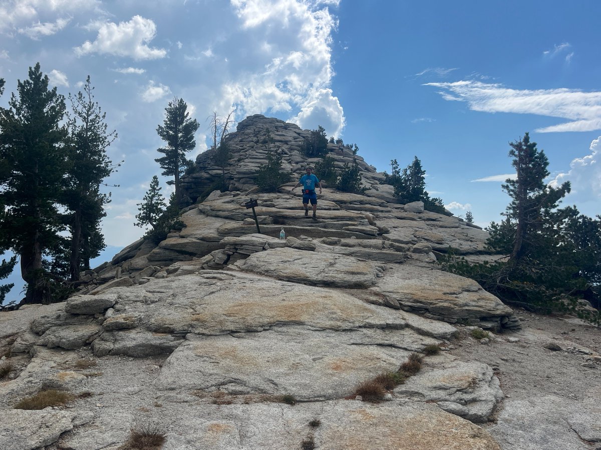 Connor Sheets tweet media