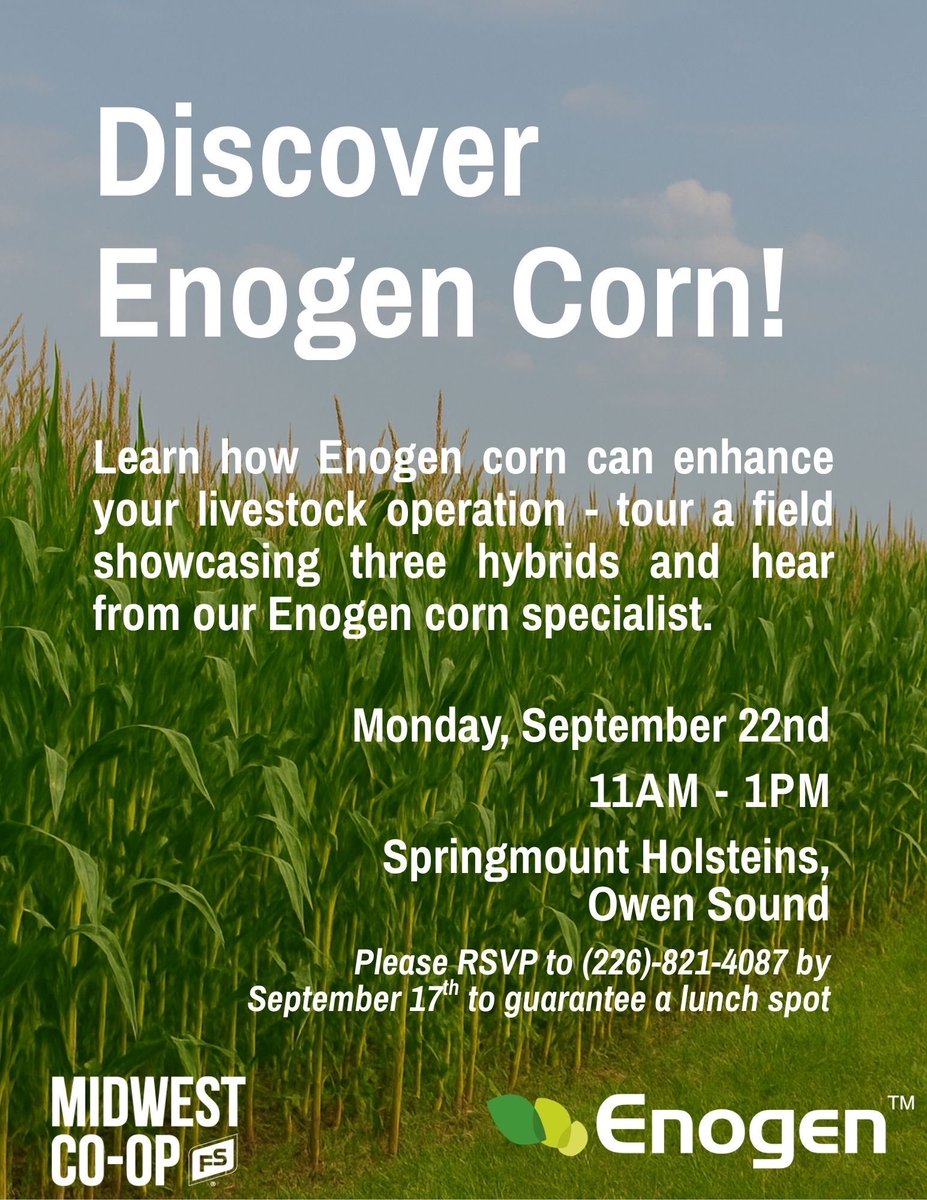 Doug Helm tweet media