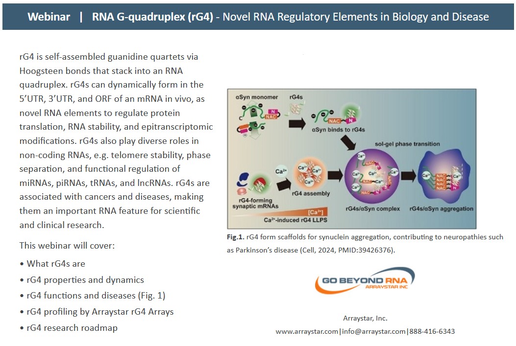arraystarinc's tweet image. 🚨Arraystar Webinar Alert 🚨

rG4s are associated with cancers and diseases, making them an important RNA feature for scientific and clinical research.

Register for our webinar below to learn more! 

9/10/2025 12:30 PM - 1:30PM (ET)
register.gotowebinar.com/register/28775…