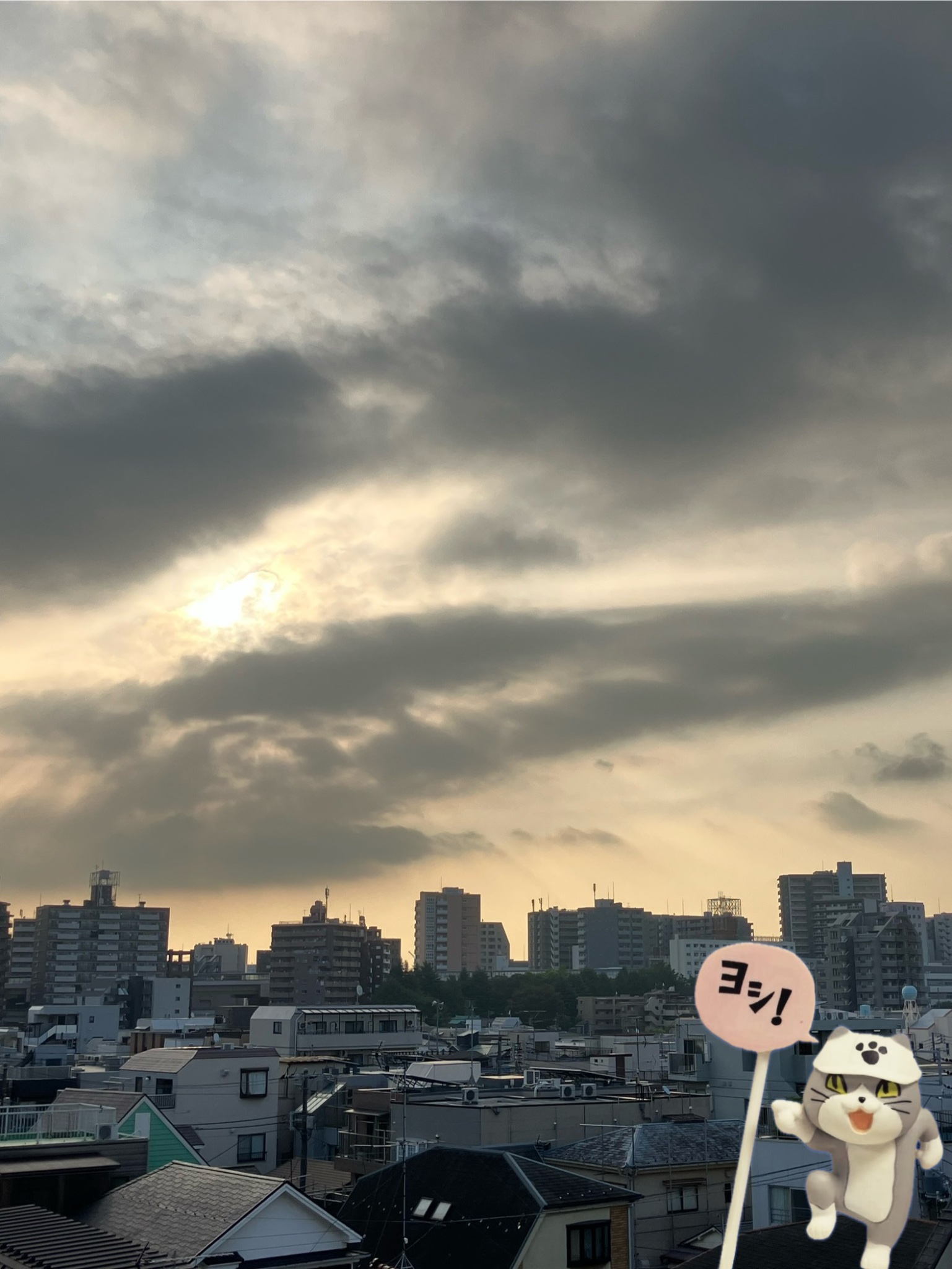 秋朝 - Search / X