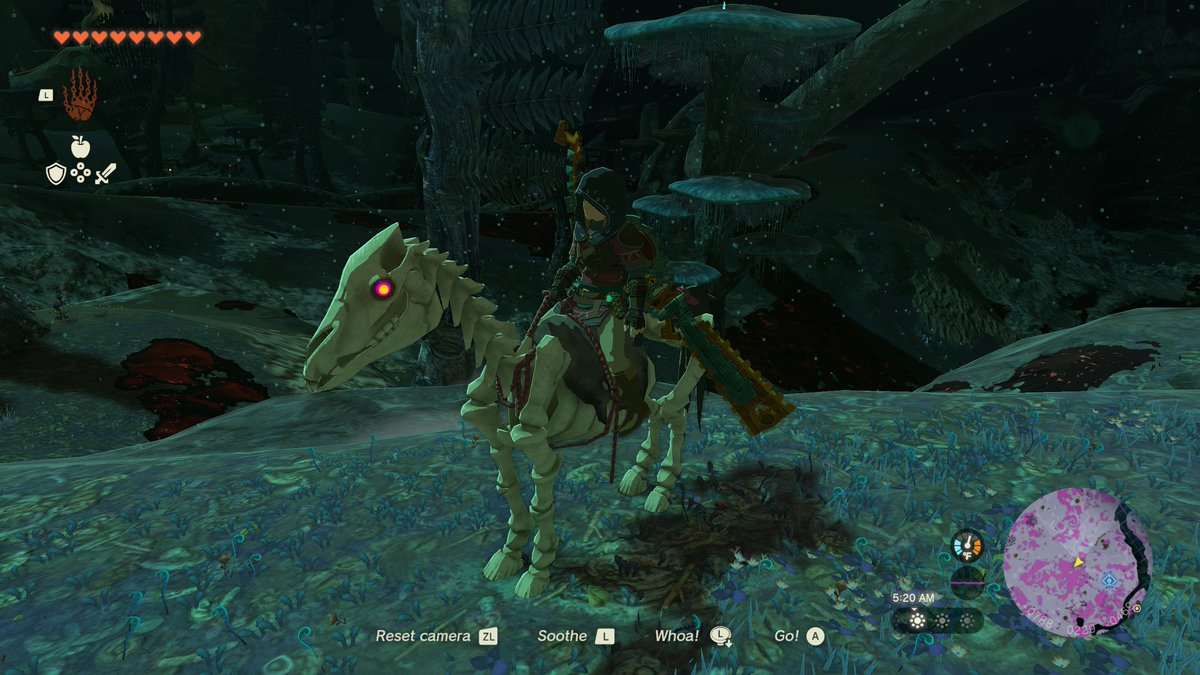 #NintendoSwitch2 #TearsOfTheKingdom #Zelda