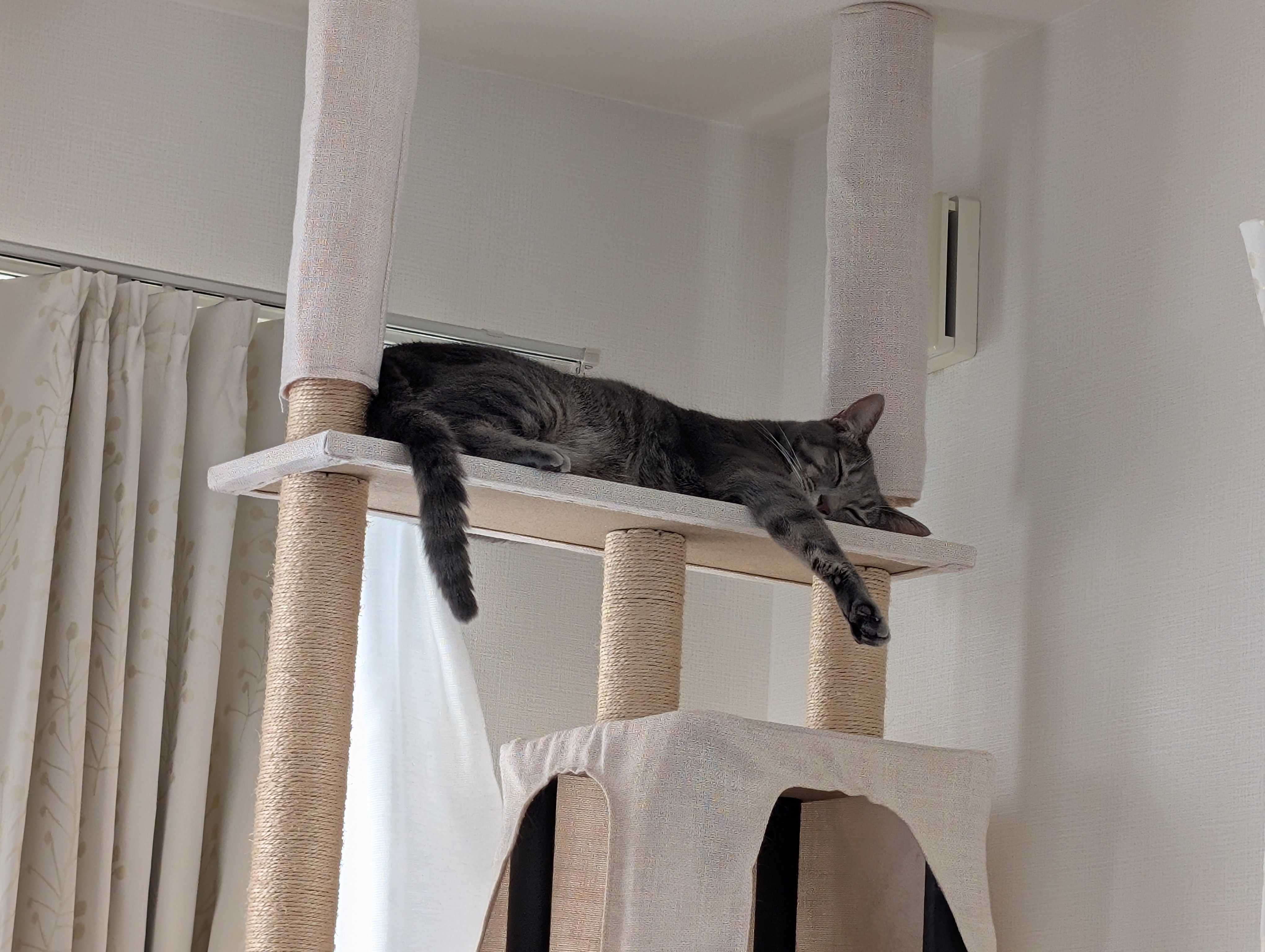 黒田まりも on X: 