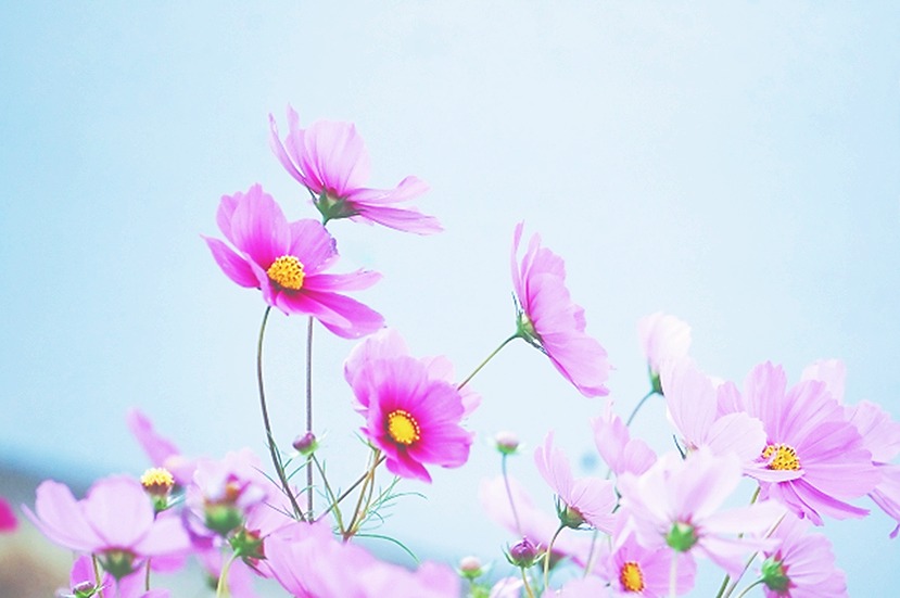 おはようございます。
今朝は「枕崎 なんめい」を開封しました！

🍃ぽわ～んと香りに癒される抽出時間。バランス良い味わいで、とても落ち着きます😊ほのかな余韻も美味しい～✨

サッパリ美味しいお茶で、今日も元気にスタートです🤗🎵

「新潟｜うずまき屋さん」
【本日の１杯】今日もありがとう。