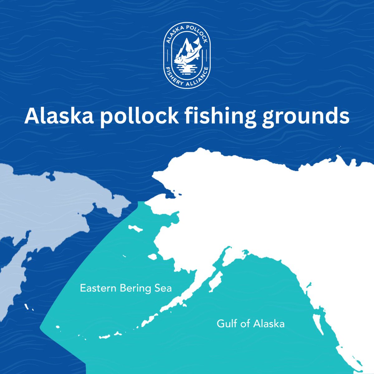 Alaska Pollock Fishery Alliance tweet media