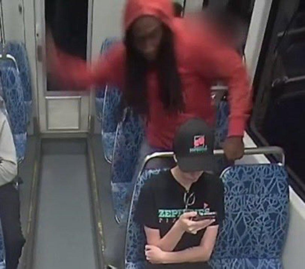 🔴 Rosa Parks a milité en 1955 pour prendre les transports en commun comme les blancs, 70 ans plus tard ses cousins tuent des blancs dans le métro.