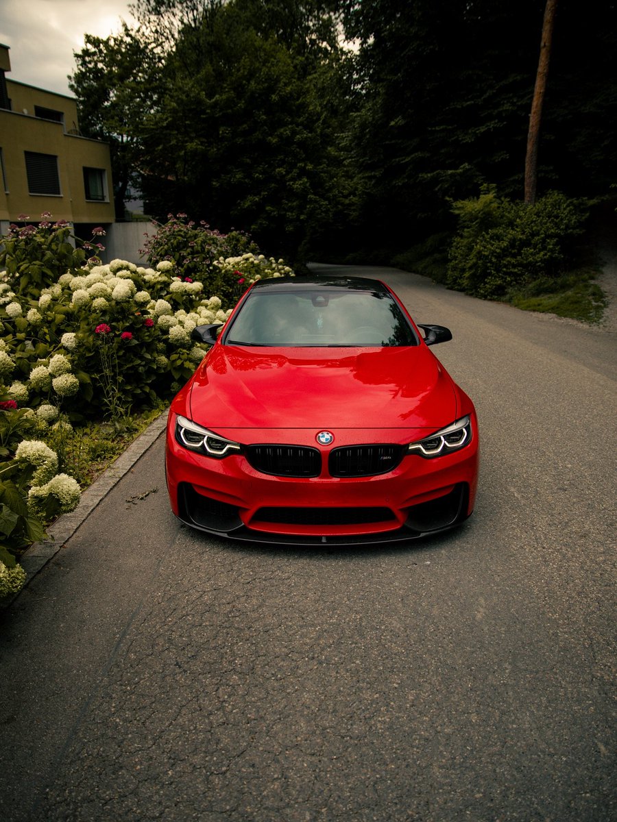 Dreams2Wonders's tweet image. BMW M4 Competition 
#BMWM3competition #m4cs #BMWm2cs #Mperformance