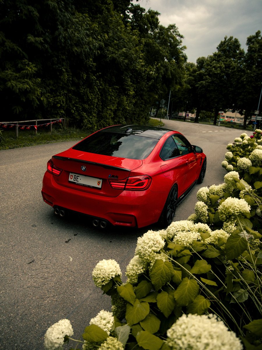 Dreams2Wonders's tweet image. BMW M4 Competition 
#BMWM3competition #m4cs #BMWm2cs #Mperformance