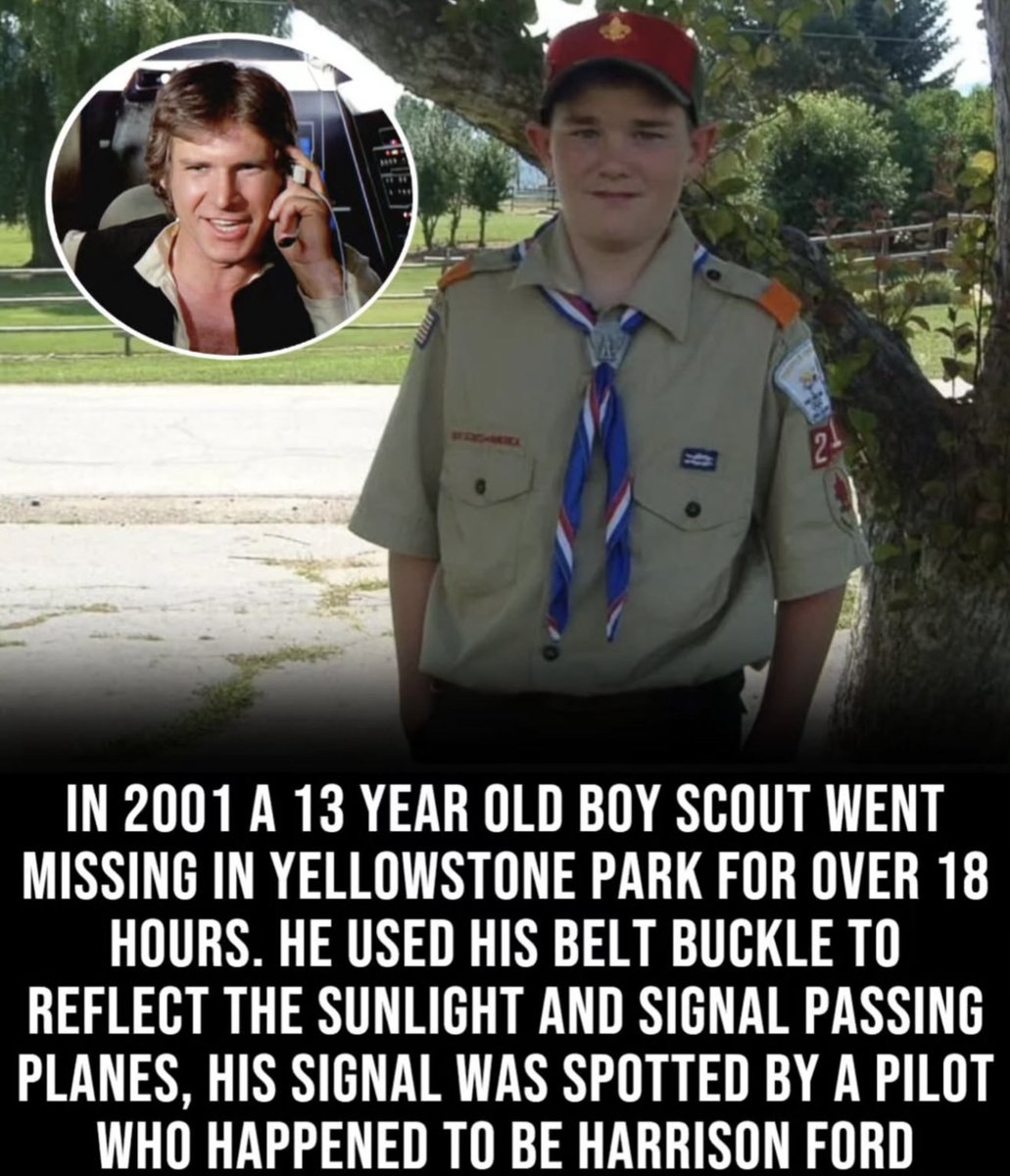 Dudes Posting Their W’s (@dudespostingws) on Twitter photo This is actually incredible This is actually incredible