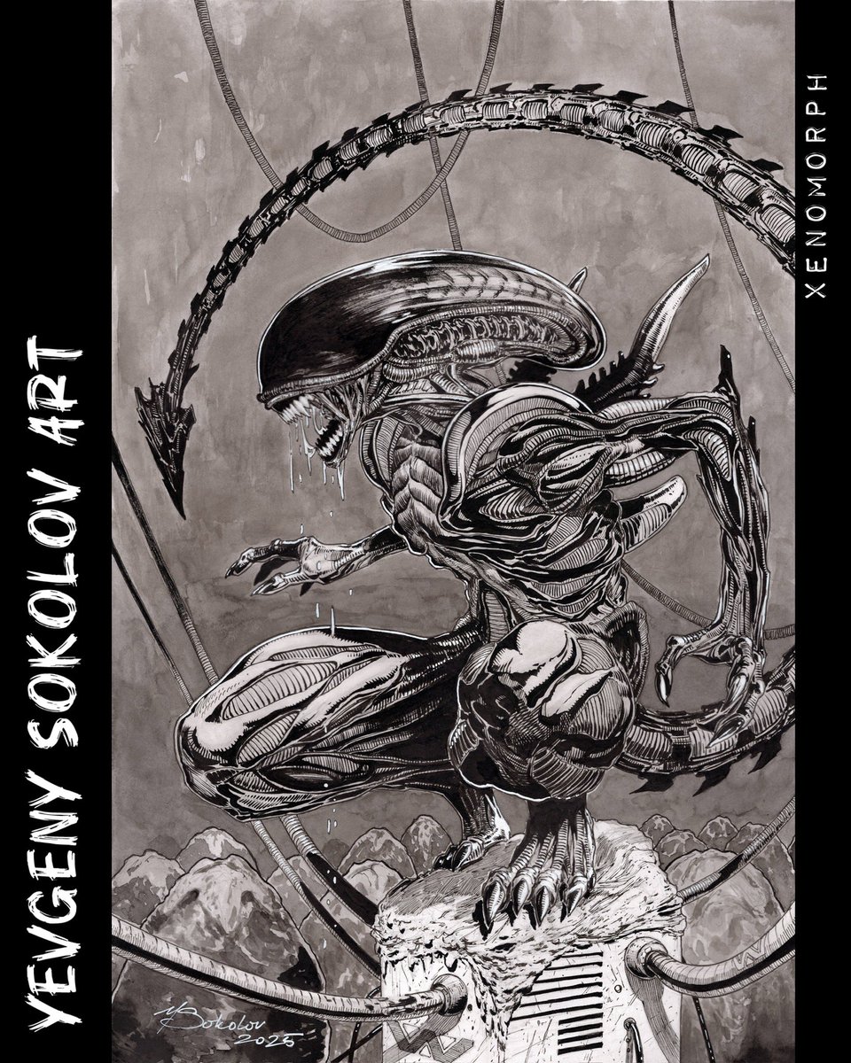 YVSokolovArt's tweet image. Alien Xenomorph
11x17
Ink and ink wash
#xenomorph #alien #inking #comicartist @DonDrawsStuff @SpareTank @DuckBaconGraph