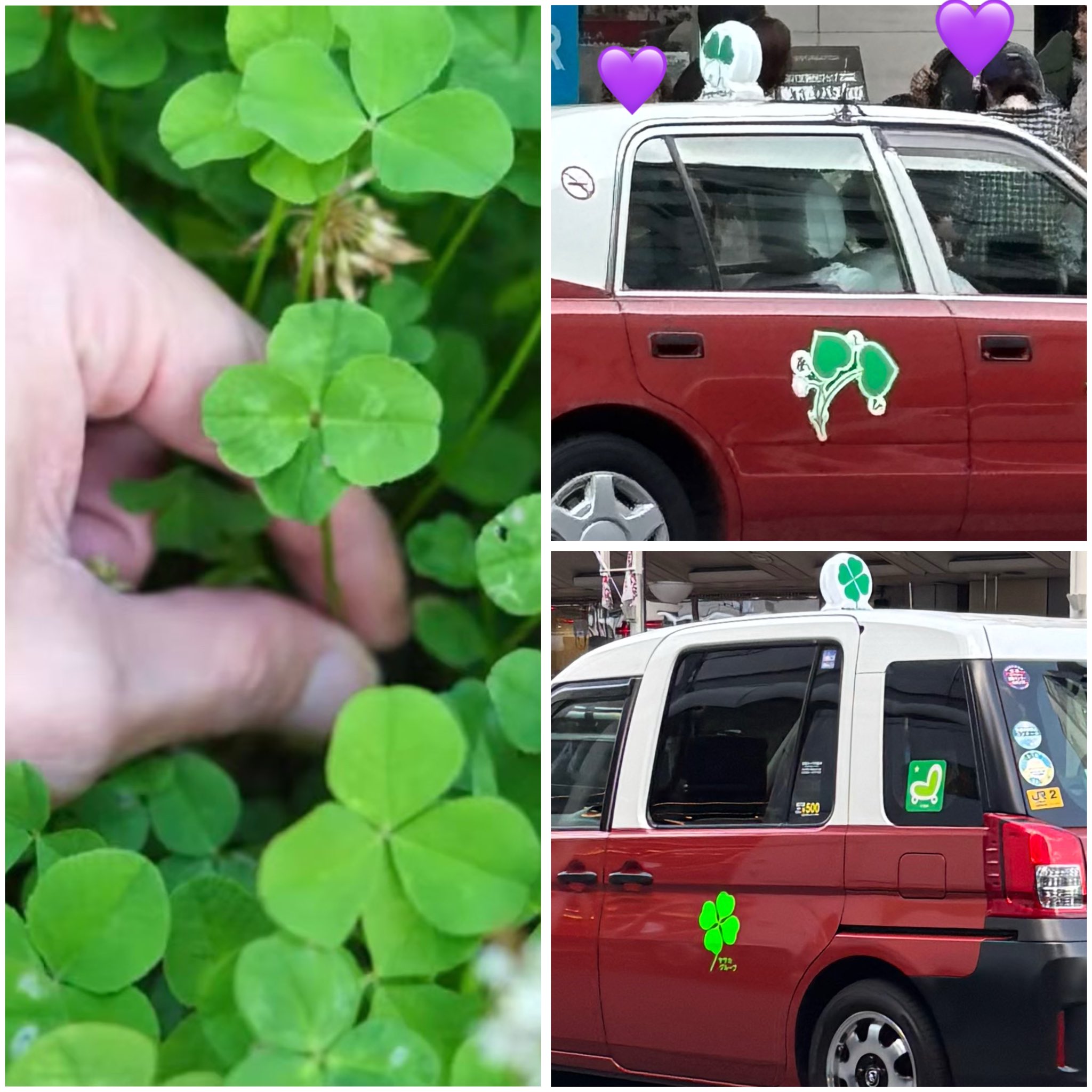 眞子さまお誕生のタクシー カード特別版 眞子さまお誕生のタクシー カード特別版 眞子さまお誕生の