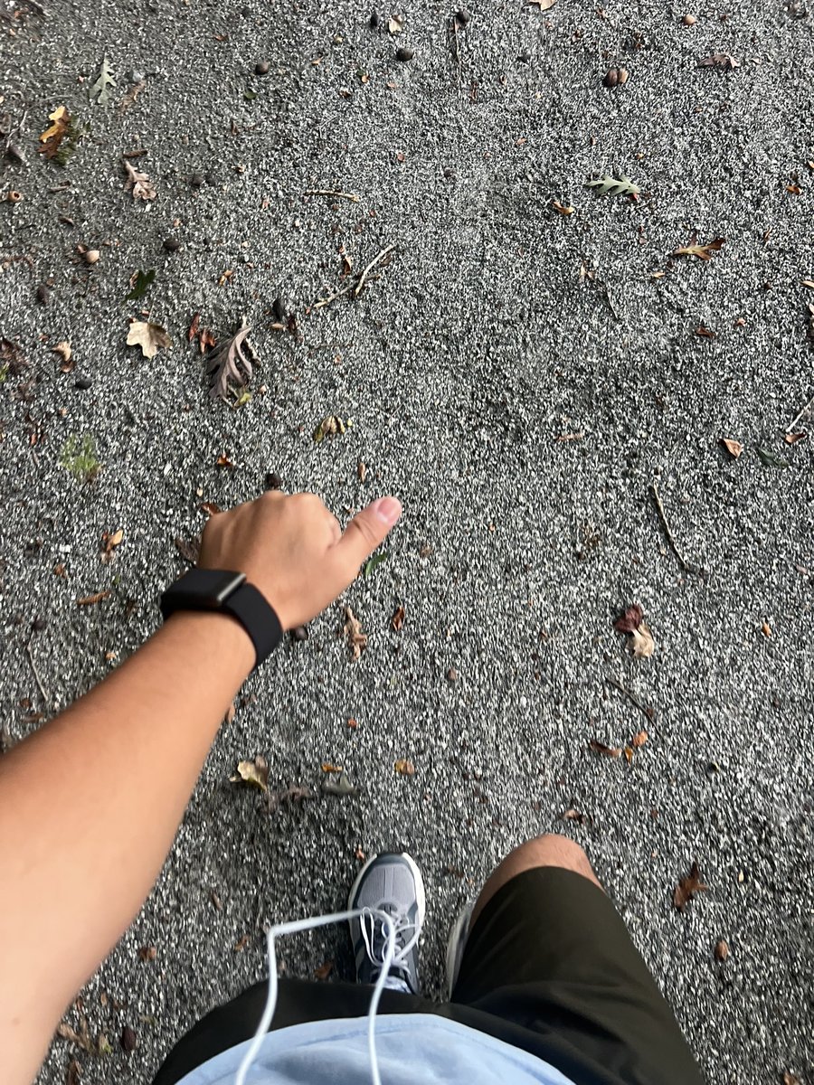 Carlos “RISK” Hernandez (@marsbanditt) on Twitter photo We keep pushing! If you want to join me along on my fitness journey to space, like comment “me” and I’ll send you the code to join! <a href="/Beachgirl_1115/">Jenni - Stargazer11.15</a> <a href="/theinspired24/">The Inspired 24</a> <a href="/anapaogonza/">nina</a>
If you want to use a way to track your progress and get a free WHOOP and one month free when you join We keep pushing! If you want to join me along on my fitness journey to space, like comment “me” and I’ll send you the code to join! <a href="/Beachgirl_1115/">Jenni - Stargazer11.15</a> <a href="/theinspired24/">The Inspired 24</a> <a href="/anapaogonza/">nina</a>
If you want to use a way to track your progress and get a free WHOOP and one month free when you join