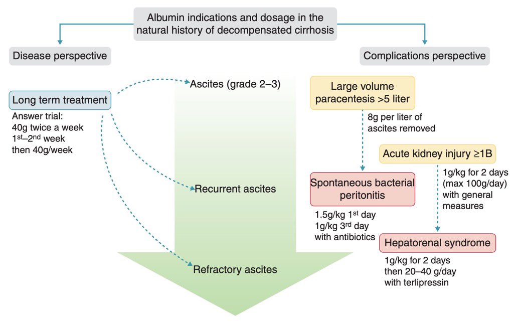 Indications of human albumin solution in cirrhosis 💡

📸: journals.sagepub.com/doi/10.1177/20…