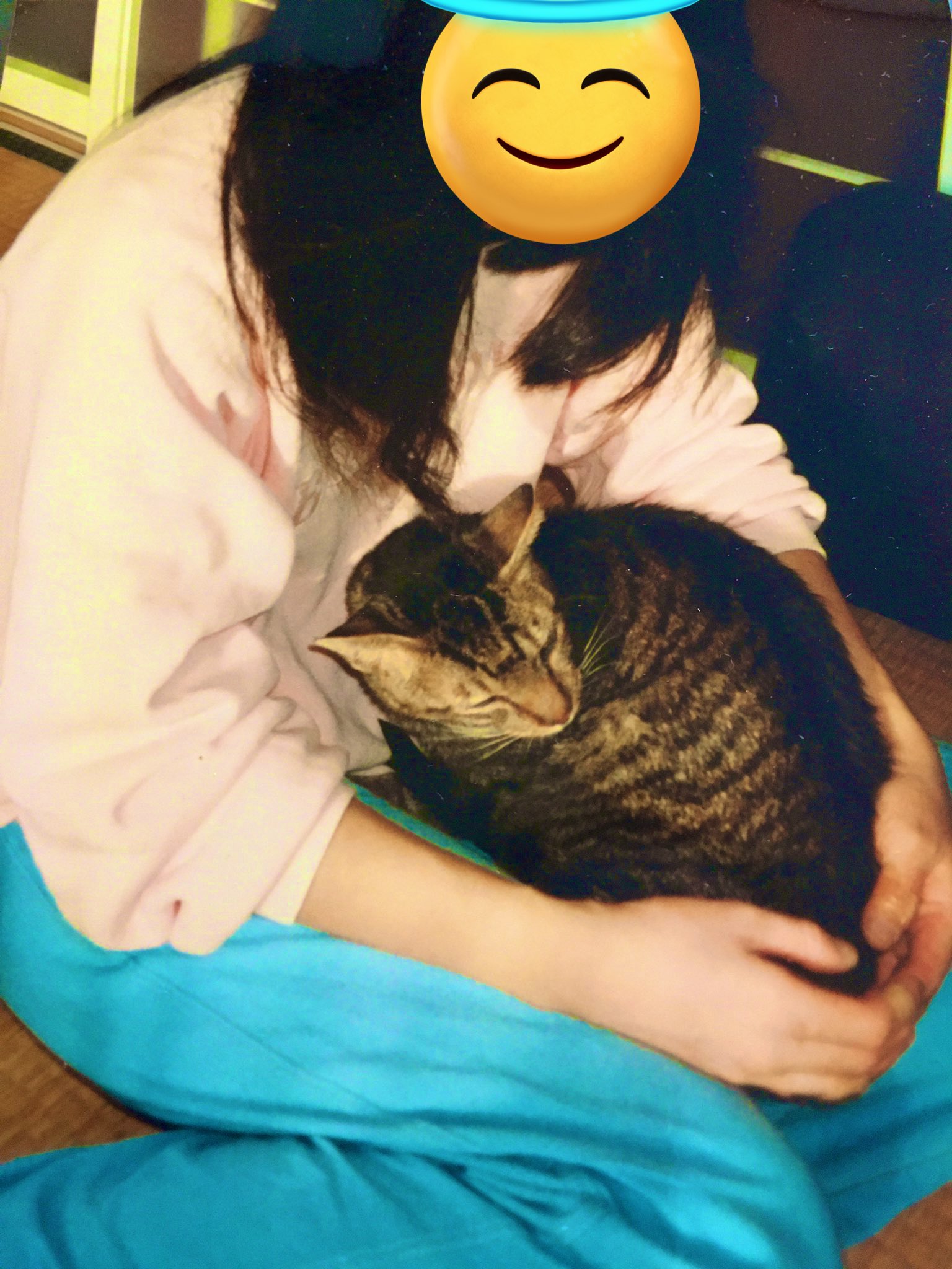 ねこ◎不調の為返信遅れます、プロフ必読 ナパムネ on X: 