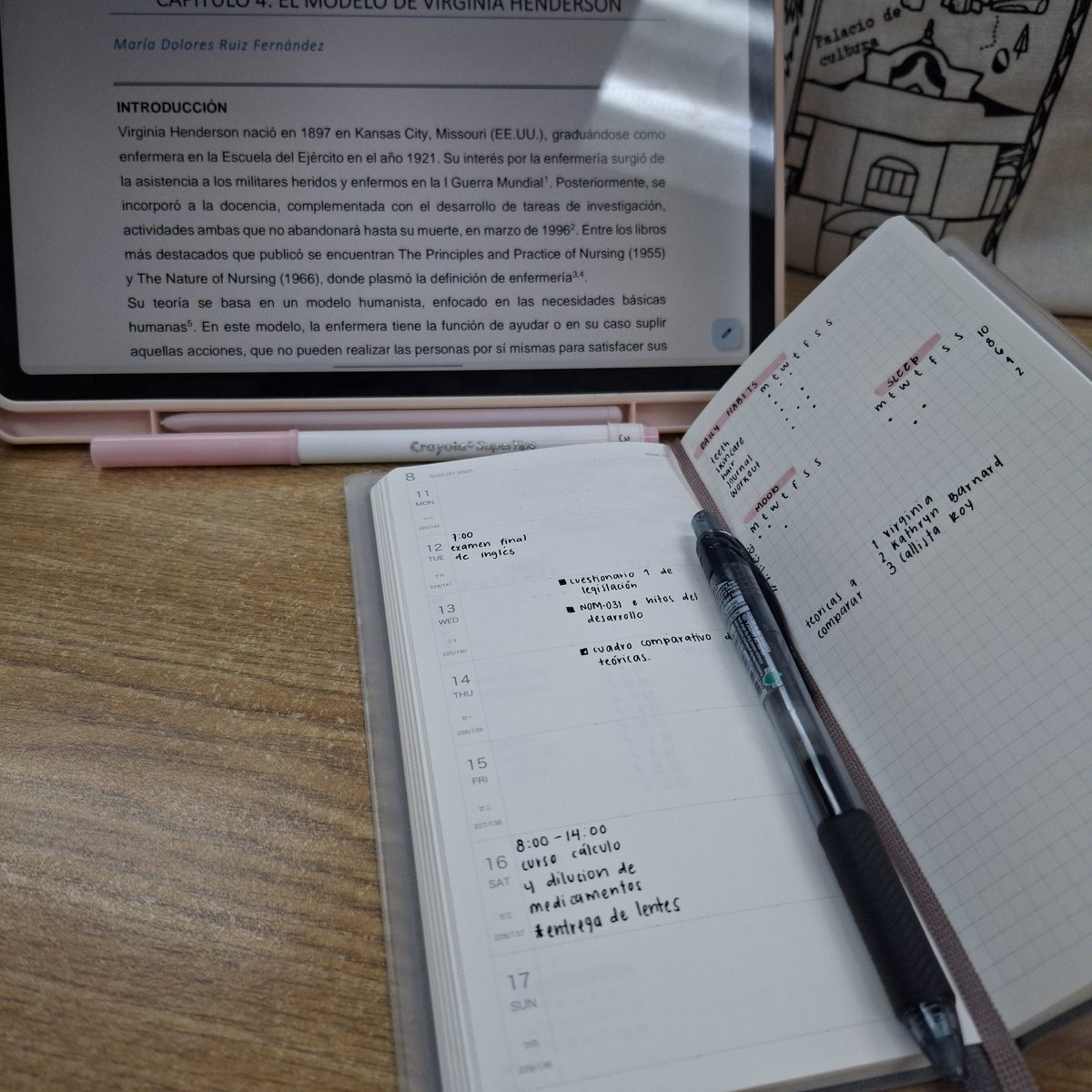 nmulvr's tweet image. 08.25  🐞 #studytwt #studylog
así se vio mi agosto