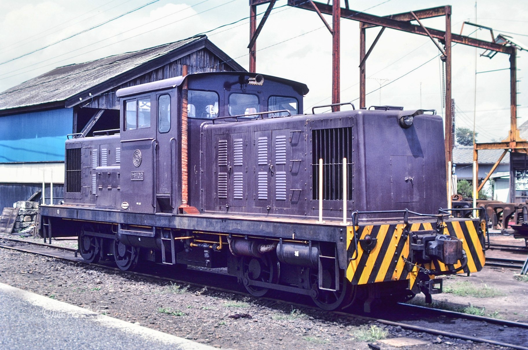 kuma様一枚 Amazon.co.jp: サンエックス(San-X) すみっコぐらし ｢わくわくた