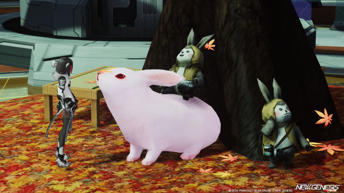 旧PSO2のショップエリアにうさぎがいた
でかくて可愛い

おはよー

#PSO2NGS_SS
#メンテの日じゃないけどssを貼る