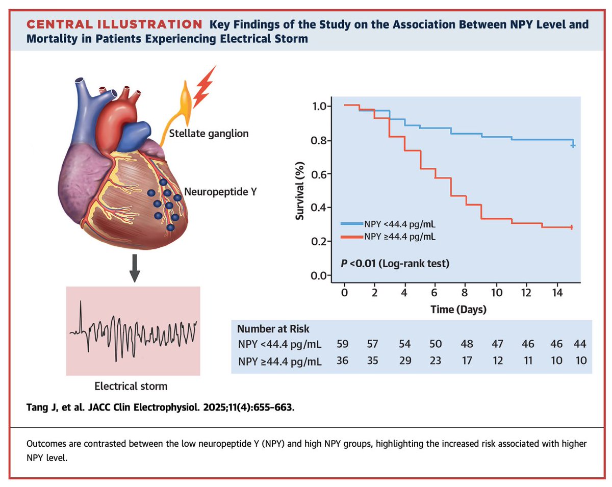 中枢・末梢神経や自律神経に存在する神経ペプチドY✨
血中濃度と心室性不整脈のelectrical stormとの相関かなり強い(AUC 0.94)

血中神経ペプチドY 44.4pg/mlがひとつのカットオフ

electrical stormにおいて神経節ブロックが効くのも納得？🤔

jacc.org/doi/10.1016/j.…