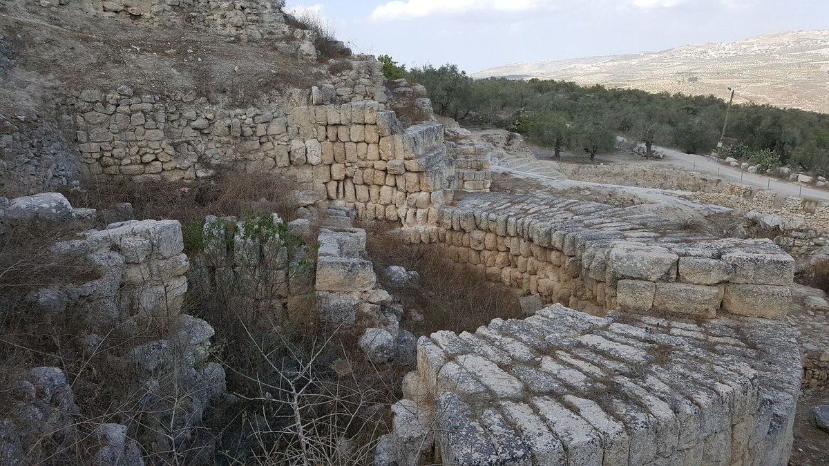 NEWS [Arab-Israel Conflict] [Government] [Terrorism]: Netanyahu says IDF will ‘eliminate terror nests’ in Samaria dlvr.it/TMzTgy