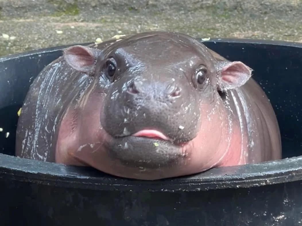 Elliot Parker (@elliotp789) on Twitter photo 