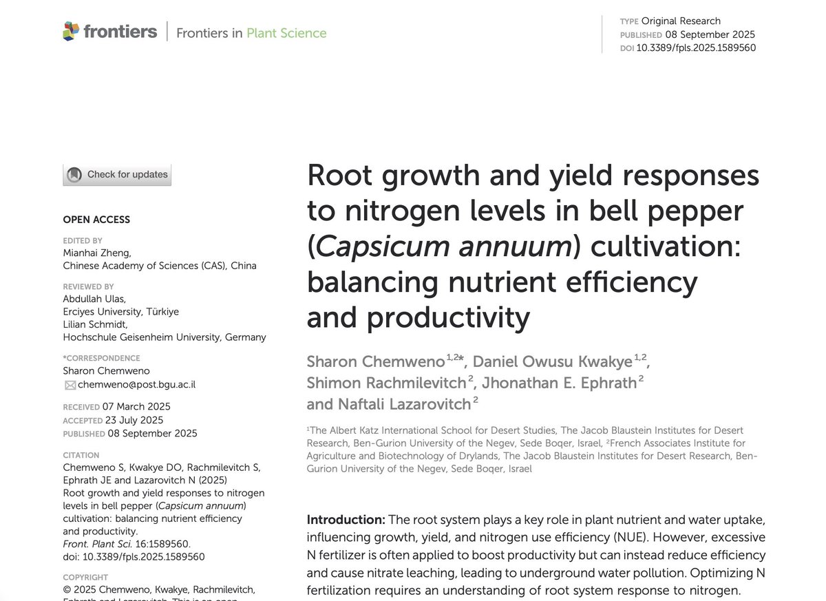 Dan Kwakye🍃 tweet media