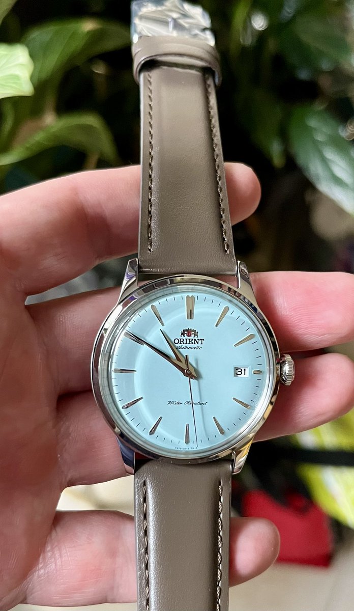 RodneyEcho's tweet image. Wrist check 
Orient Bambino