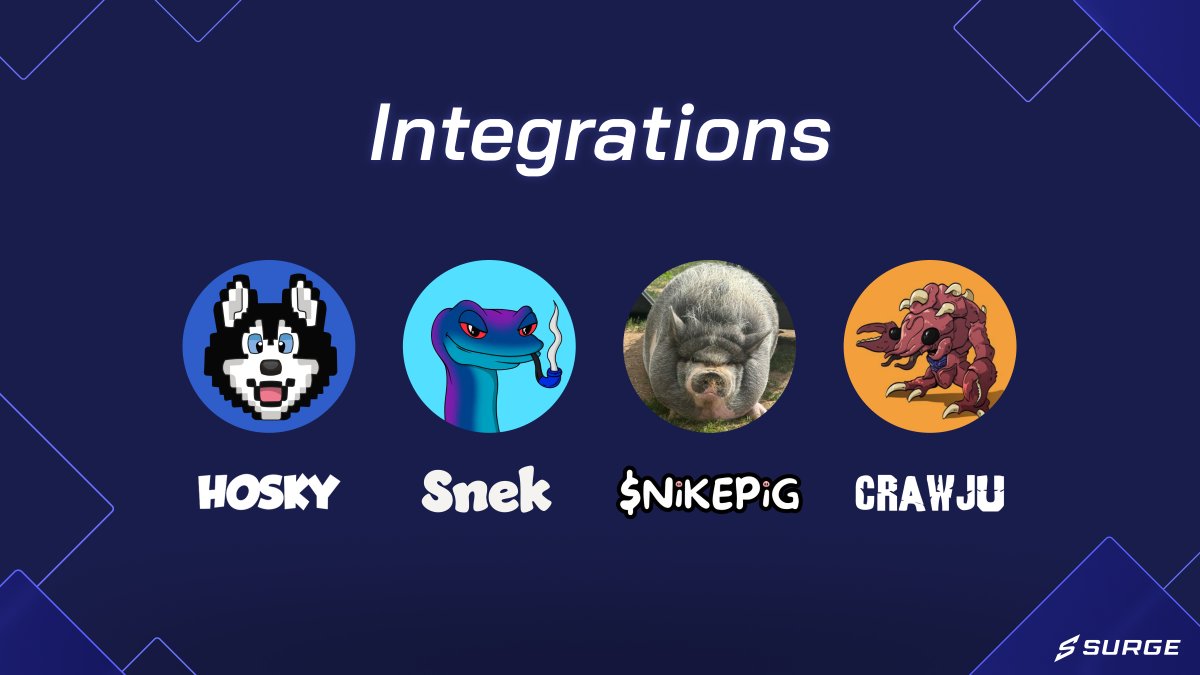 SurgeCardano's tweet image. Surge is built to spark a new wave of Cardano on-chain activity.

Here’s a look at some of the memecoins that will be supported on our mainnet launch 🔥

What other tokens should we add? 👀
