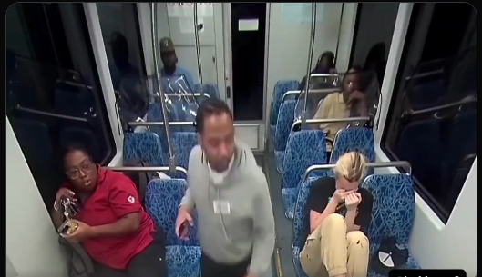 The mainstream media is deeply upset about the Iryna Zarutska murder because they don't want us to see images like this. 

A white woman is fatally stabbed and black passengers don't care at all.