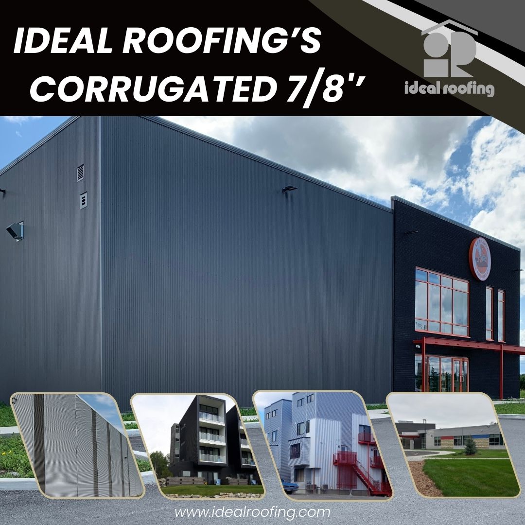 IdealRoofing29's tweet photo. Enhance the prestige and character of your building
with metal roofing and siding from Ideal Roofing!

Ajoutez du prestige et de la personnalité à votre immeuble avec les revêtements métalliques d’Idéal revêtement!
https://t.co/Jd9NPC3Wzs

#iDealRoofing #IdealSiding #steelroofing https://t.co/MPMFnFtkSU