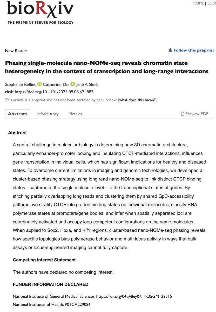 Jane Skok tweet media