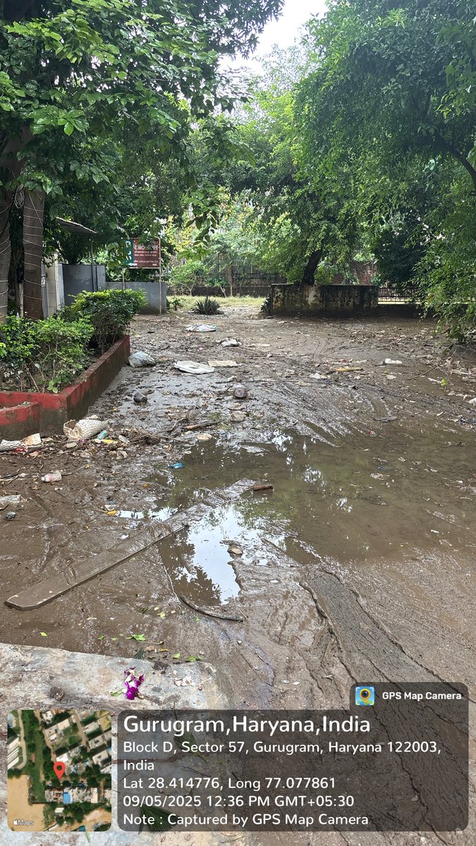 goel_ripul's tweet photo. While the water has cleared, its now time for another nightmare to begin: after flood silt/sludge , free breeding ground for mosquitoes, dengue. @MunCorpGurugram wont clean it because -  hey dogs cause problems they should be removed , mosquito, sludge etc they improve aesthetics https://t.co/Eot9reDSp9