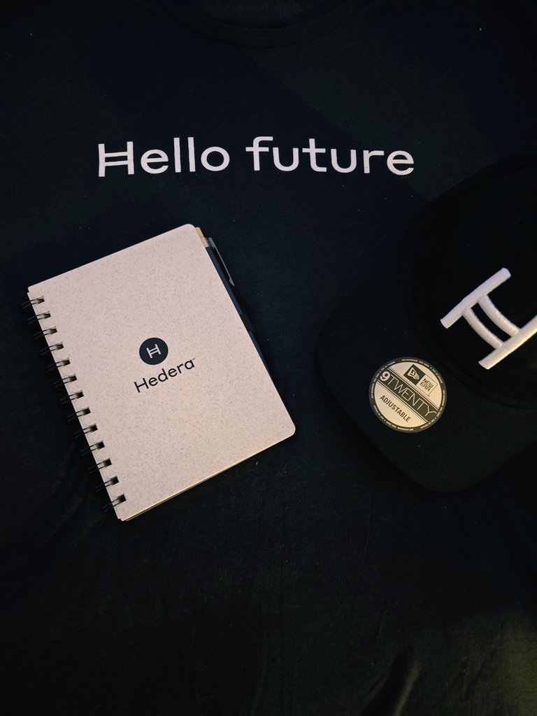 Mauii_MW's tweet image. Thank you, @hedera 
Let&apos;s grow! 
#HelloFuture