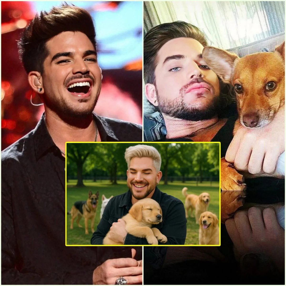 Jennweenink's tweet image. SHOCKING REVELATION: Adam Lambert just pledged $20 MILLION to create a “heaven on earth” for abandoned animals — a massive sanctuary promising love, care, and forever homes for thousands of rescues. 🐾✨
