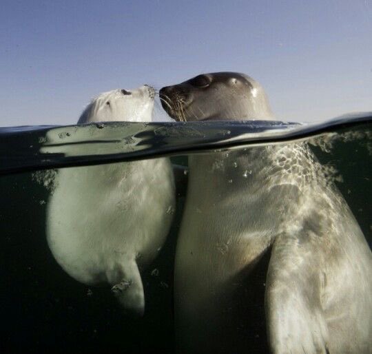 let’s float with mama
