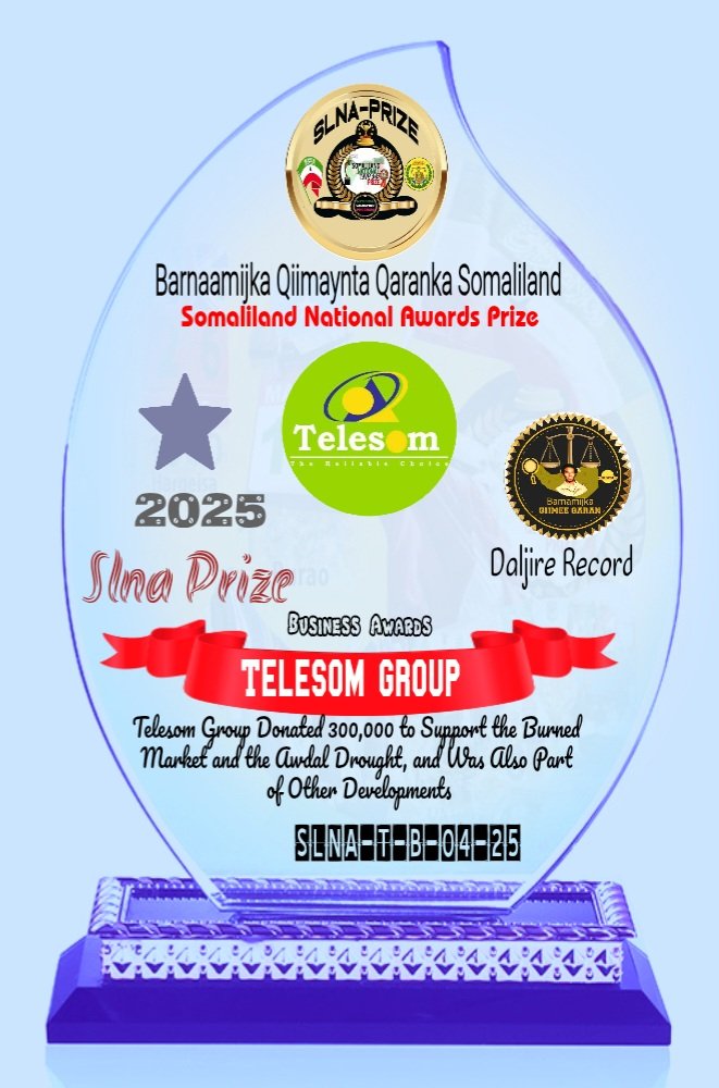 Somaliland National Awards Prize tweet media