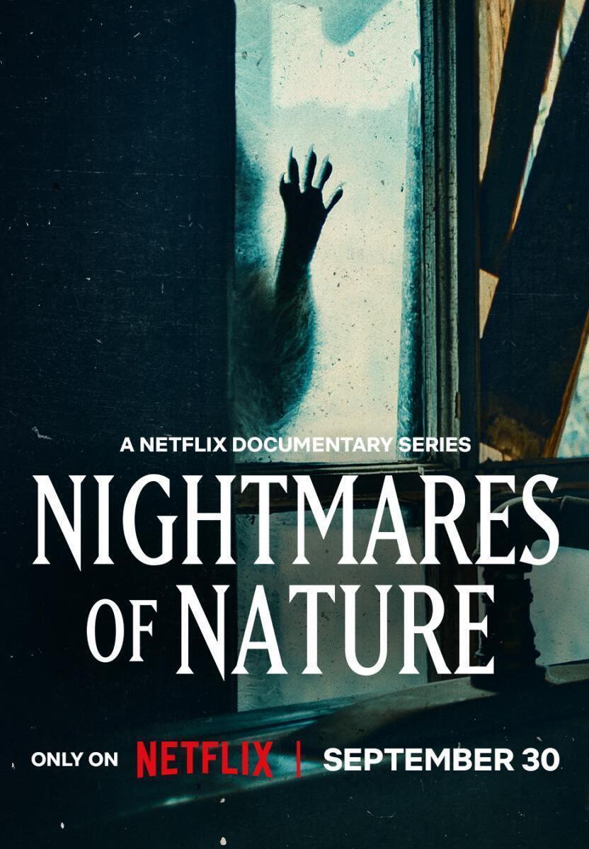 enbocacinefago's tweet photo. OJO ¿Una serie documental de terror desde la perspectiva de animales que luchan por sobrevivir en la naturaleza? Pues algo parecido es lo que propone #NaturalezaDePesadilla, que llega a #Netflix el 30 de septiembre. 

Con la narración de Maya Hawke, muestra cómo es realmente la vida en la naturaleza, desde el punto de vista de los animales que están en peligro de ser cazados. Descrita como más intensa y oscura que los documentales típicos de naturaleza. 

TRAILER ⬇️