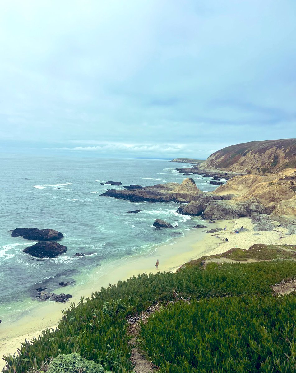 jattaviator's tweet image. #Tuesday #bodegabay …..