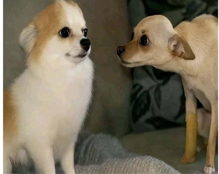 So , am the only maintenance mechanical technician here. The rest of you are doctors and nurses 🤔