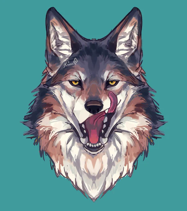 狼 #wolfarium