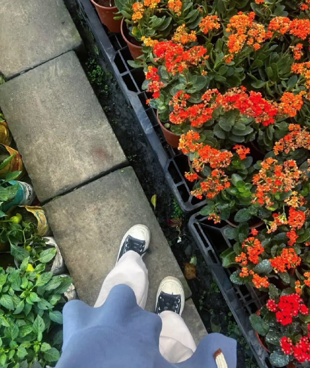 花々の間を歩くと、心も花のように咲く🌼