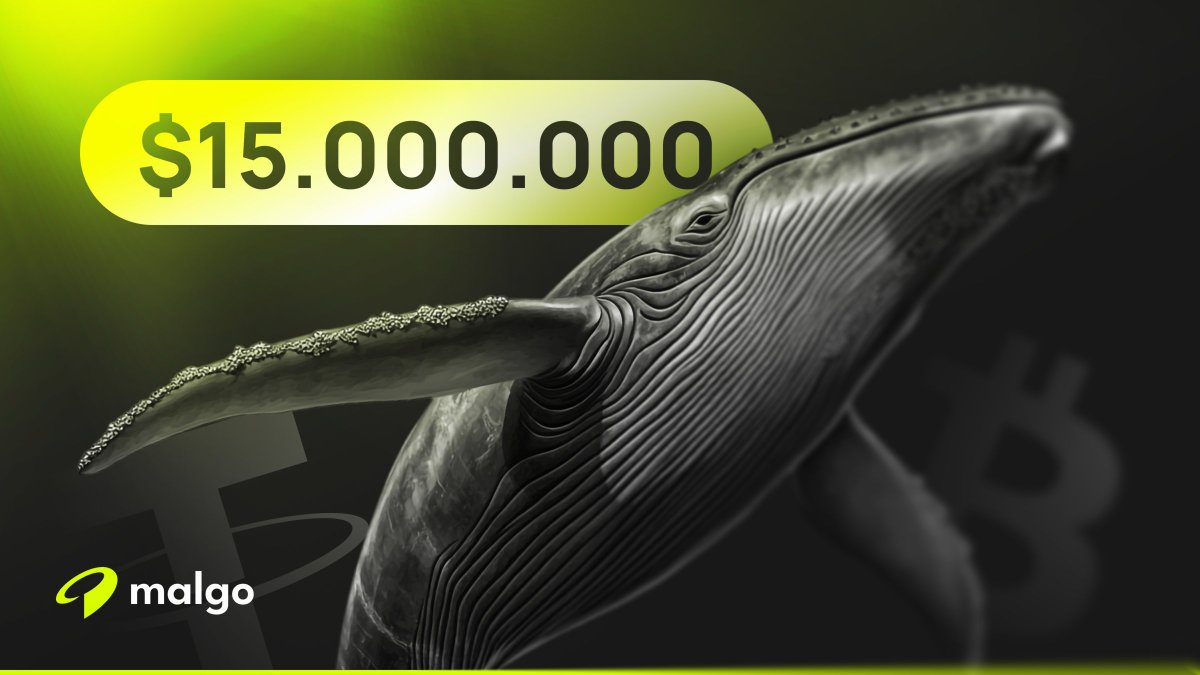MalgoFinance's tweet photo. 🚨📢 ALERT: Major Trade on MalgoSwap!

A dormant whale just executed a $15M BTC to USDT swap in a single transaction on https://t.co/LdVlFuUHjw.

See how Malgo makes high-volume trades seamless.

Read the full story: 👇 
https://t.co/1kGOGm5jrk https://t.co/r91P1oSI8Q