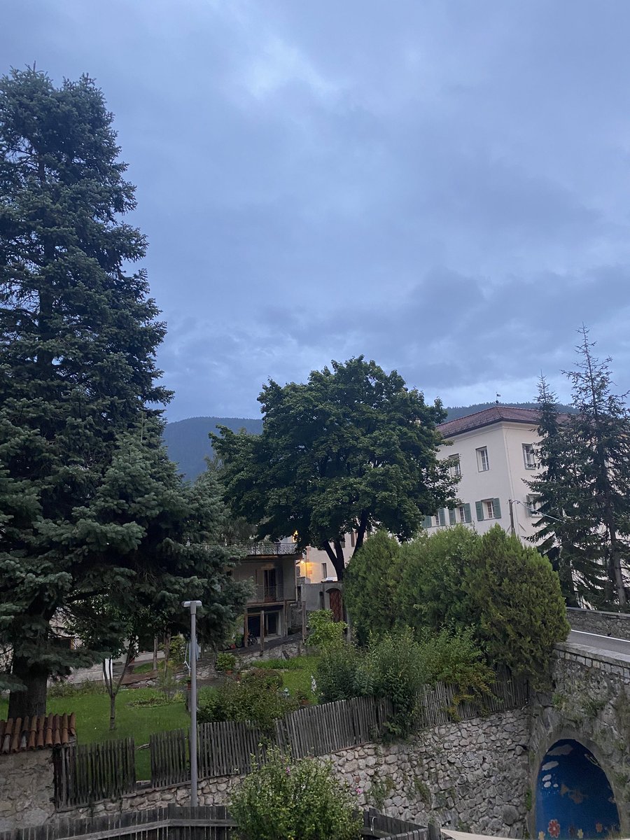 Sonia Zuccaro tweet media