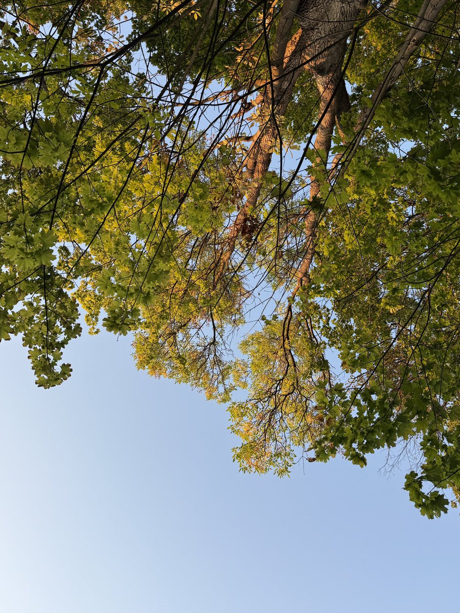 today's postcards ‧₊ ᵎᵎ ˚｡𖦹 ⋆｡°✩