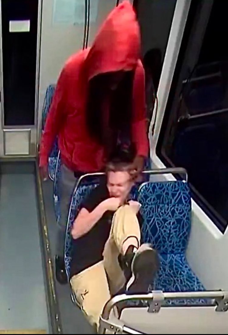 If seeing the CCTV footage of an innocent young white woman being attacked by an African savage fills you with rage. Imagine how you'd feel if they released the footage from Southport. All those innocent terrified children being butchered. The naked reality of these all so
