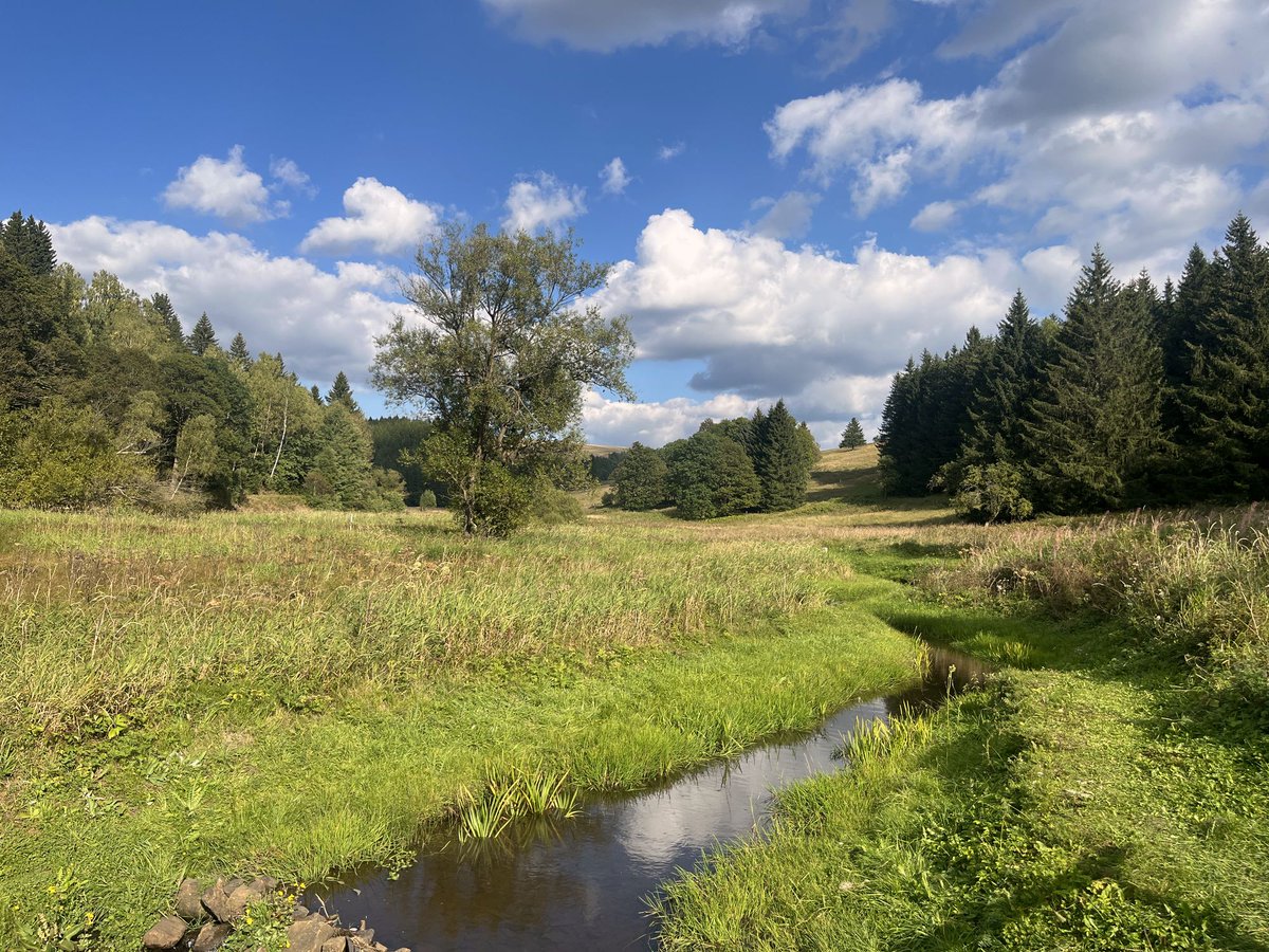 Auf 680 Metern über dem Meer: Die Freiberger Mulde, die (ausgerechnet!) an Rande des Dorfes Moldau (Moldava) entspringt, markiert hier für ein kurzes Stück die sächsisch-böhmische Grenze. 

Foto von vorgestern.