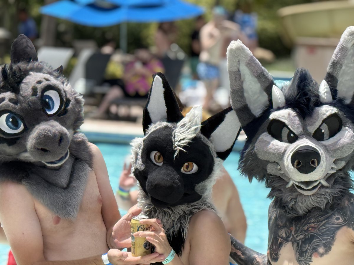 It’s actually good for you to party 72 hours 

📷: <a href="/husky_mint/">Minty Husky</a>